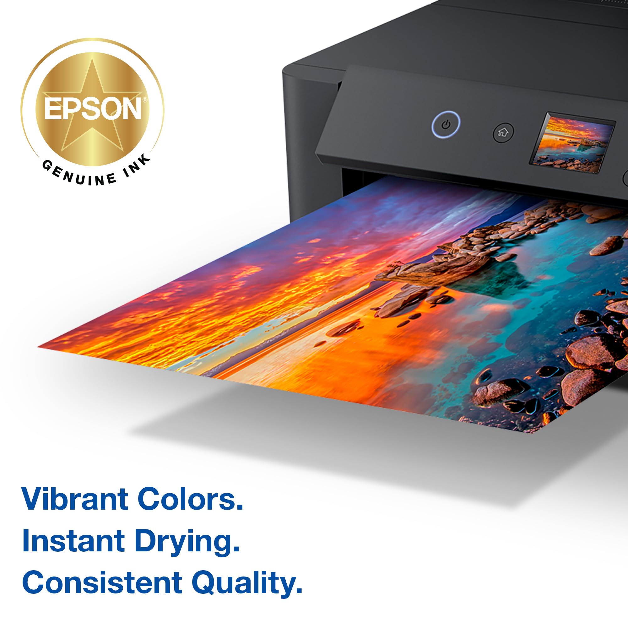 Amazon.com: EPSON 314 Claria Photo HD Ink High Capacity (T314XL922